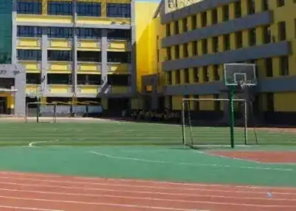 民族路小学白蚁防治
