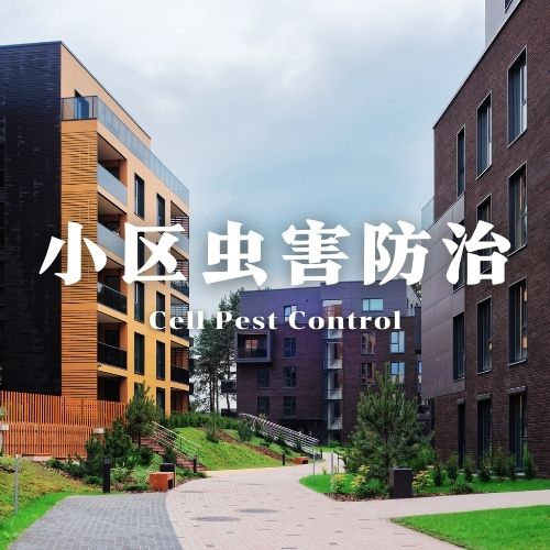 南宁市小区虫害防治