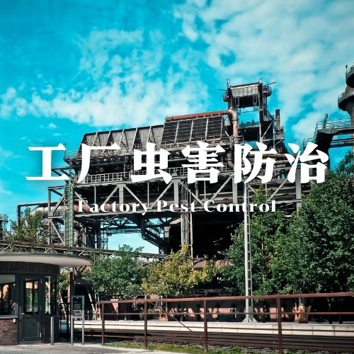 南宁工厂虫害防治