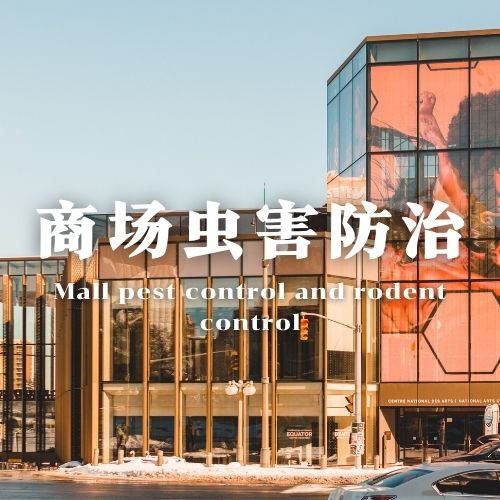 商场超市虫害防治