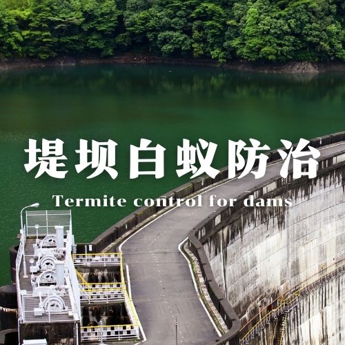 南宁堤坝白蚁防治