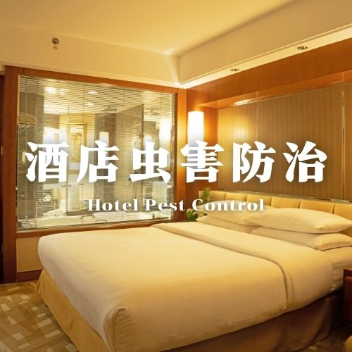 南宁酒店白蚁综合防治