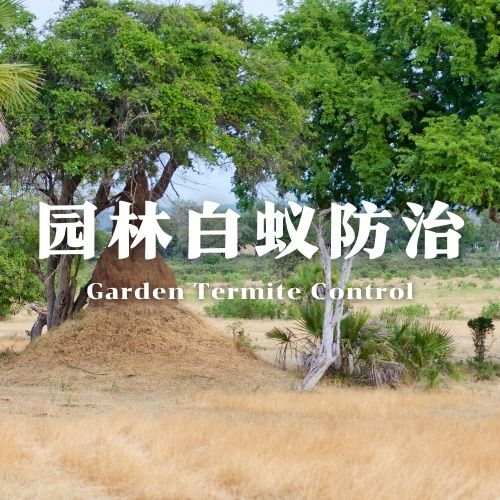 南宁园林白蚁防治