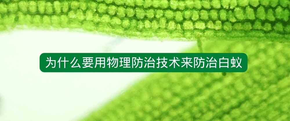 为什么要用物理防治技术来防治白蚁.jpg