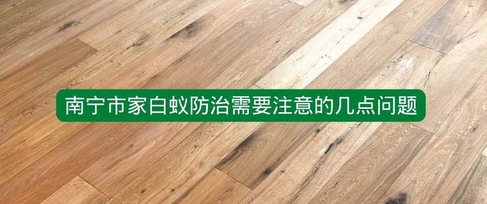 南宁市家白蚁防治需要注意的几点问题.jpg