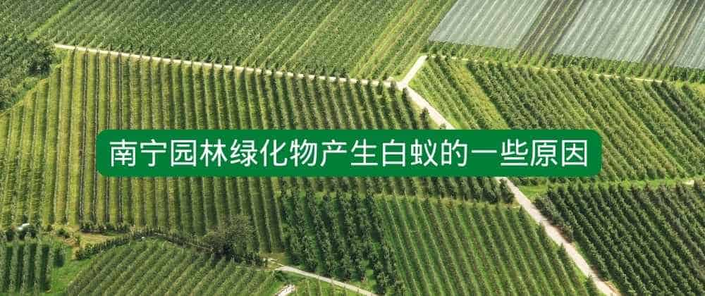 南宁园林绿化物产生白蚁的一些原因.jpg