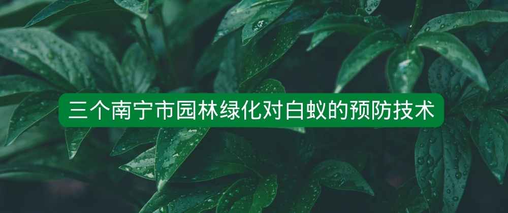 三个南宁市园林绿化对白蚁的预防技术.jpg