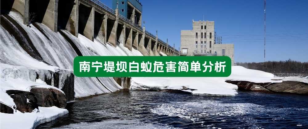 南宁堤坝白蚁危害简单分析