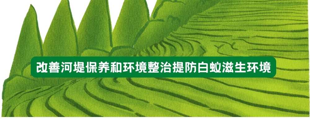 改善河堤保养和环境整治提防白蚁滋生环境.jpg