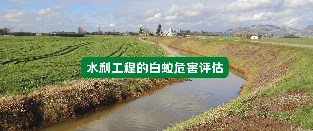 水利工程的白蚁危害评估.jpg