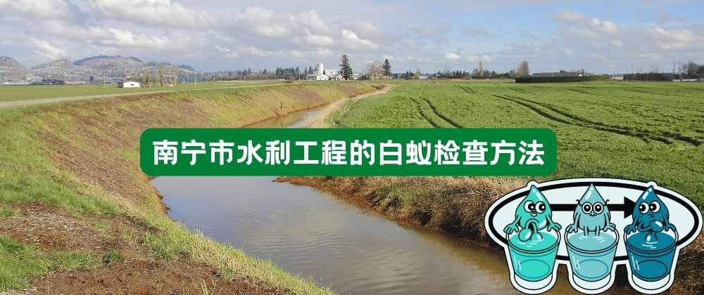 南宁市水利工程的白蚁检查方法.jpg