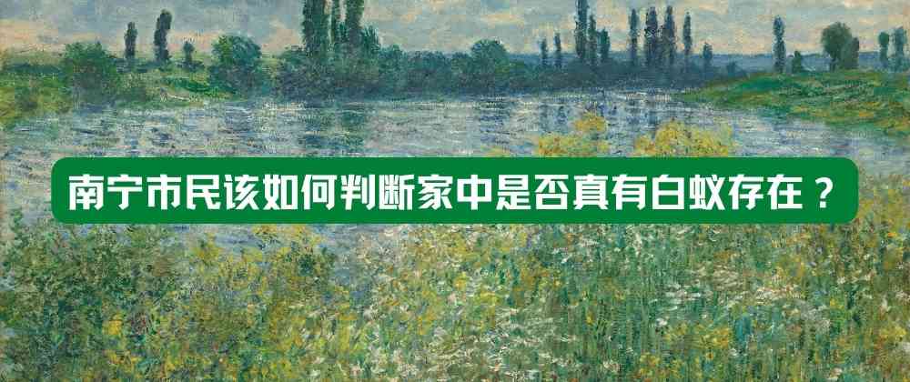 南宁市民该如何判断家中是否真有白蚁存在？.jpg